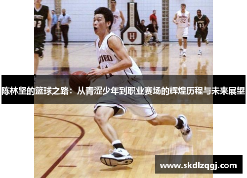 陈林坚的篮球之路：从青涩少年到职业赛场的辉煌历程与未来展望