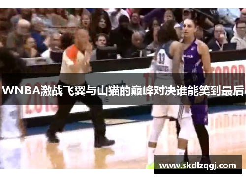WNBA激战飞翼与山猫的巅峰对决谁能笑到最后