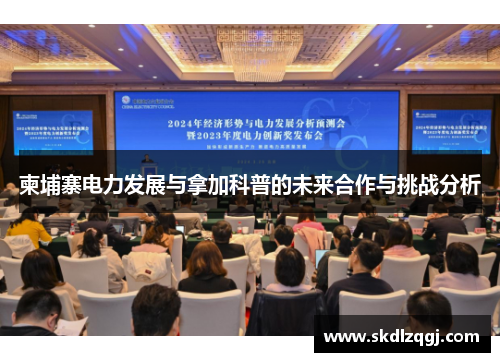 柬埔寨电力发展与拿加科普的未来合作与挑战分析