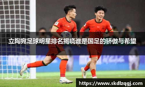 立陶宛足球明星排名揭晓谁是国足的骄傲与希望