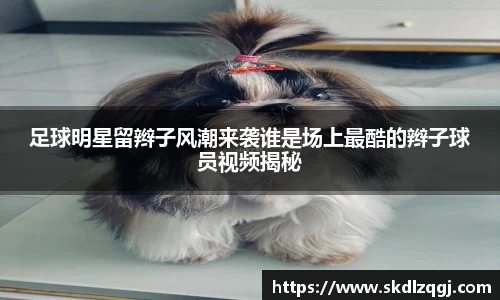 足球明星留辫子风潮来袭谁是场上最酷的辫子球员视频揭秘